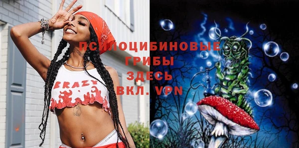 СК Абдулино
