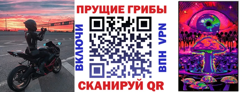 KRAKEN ТОР  Задонск  Псилоцибиновые грибы MAGIC MUSHROOMS 
