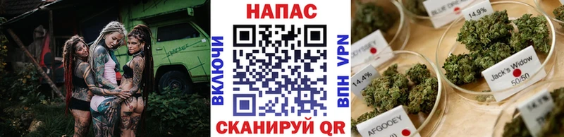 KRAKEN рабочий сайт Задонск Шишки марихуана Bruce Banner